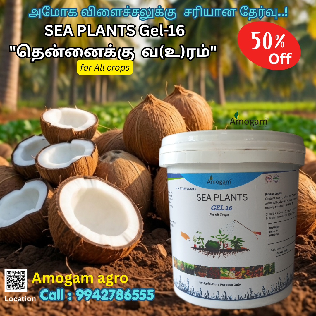 SEA PLANTS GEL 16